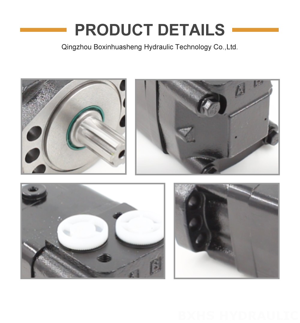 BMSY_Cycloid Hydraulic Motor 100 cc/r 50 Lpm Hydraulic Motor detailed image